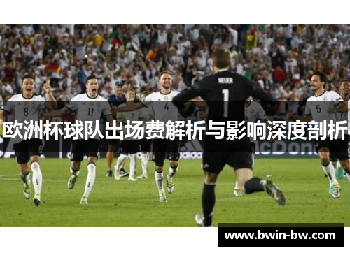 欧洲杯球队出场费解析与影响深度剖析