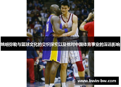 姚明弥勒与篮球文化的交织探索以及他对中国体育事业的深远影响