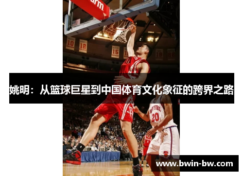 姚明：从篮球巨星到中国体育文化象征的跨界之路