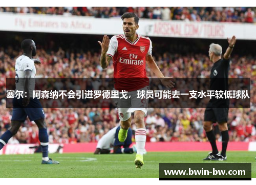 塞尔：阿森纳不会引进罗德里戈，球员可能去一支水平较低球队